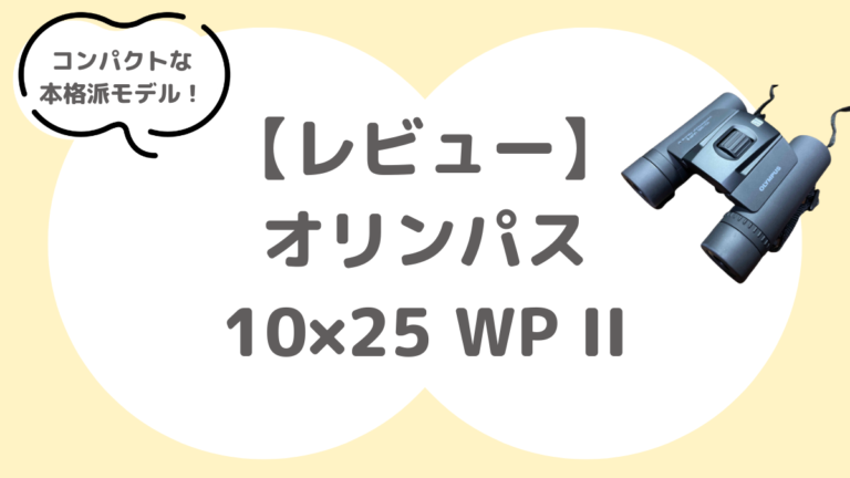 日本の文化 抹茶